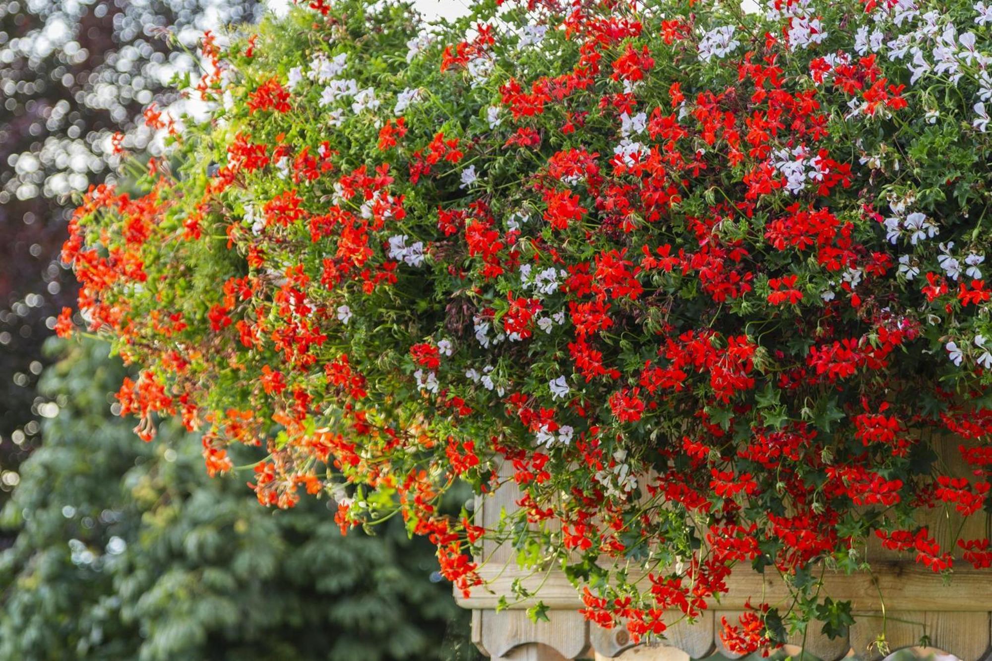 Bauernhof Glanzern Βίλα Βέστεντορφ Εξωτερικό φωτογραφία